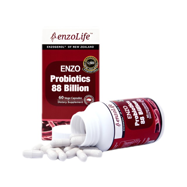 엔조라이프 프로바이오틱스 880억유산균 60캡슐 : 건강한미녀